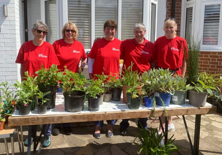 Plant Sale